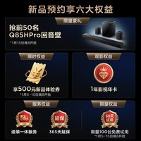 TCL电视 65Q10M 65英寸 SQD-Mini LED 100%全局高色域 超级蝶翼华曜屏 万象分区 Q10L