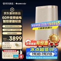 格力双变频除湿机家用抽湿干衣轻音节能防潮霉离子净化香薰盒语音智控60升/天DH60FTA1A(WIFI)时麦金