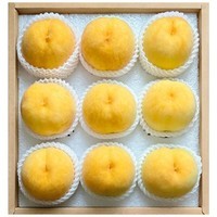 硕醴纪正宗山东蒙阴黄桃 毛桃桃子 新鲜水果整箱 5斤装 精选单果2-3两 净重4.5-5斤