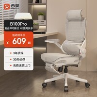 西昊B100Pro 人体工学椅办公椅电脑椅人工力学座椅电竞椅子4D联动扶手