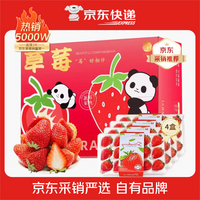 勿语大凉山高山露天种植新鲜草莓现摘现发 农家草莓产地直发采销推荐 4盒中大果单果12g+ (44-80枚)净重2.1-2.6斤