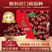 美嫁果金奖智利车厘子进口大樱桃新鲜当季水果SF部分次日达冠军品质 5斤(净重) 【进口原箱不拆包更锁鲜】  超大果 2J 单果8-10g