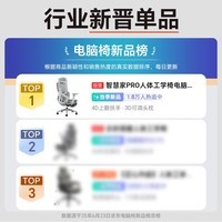 ENOVA智慧家网布款 人体工学椅电脑椅家用舒适久坐办公椅撑腰学习椅子