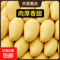 京喜加黄皮凯特芒老少皆宜鲜果 带箱10斤 500g+