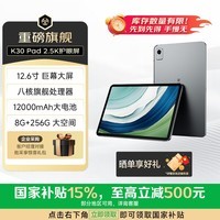 联想(Lenovo)异能者K30 12.6英寸 4G通话全网通2.5K平板电脑 国家补贴 游戏TUV爱眼节能 8G+256G 太空灰4G版