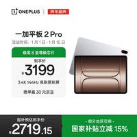 一加平板 2 Pro【国家补贴】13.2英寸平板电脑骁龙8至尊版芯片 8GB+256GB 冰川银 游戏办公学生