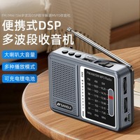 山水（SANSUI）收音机新款插卡音响播放器多功能蓝牙音箱FM广播无线迷你便携式老人户外随身听唱戏机评书机  【插卡收音机音箱】枪灰色 【FM调频收音】强续航带挂绳版