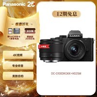 松下G100DK+【25mmF1.7】白盒 双镜头（Panasonic）微单数码相机    vlog相机  4K视频 柔肤自拍