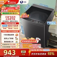 小天鹅（LittleSwan）波轮洗衣机全自动家用 10公斤变频电机 宿舍租房神器 家电折扣补贴一级能效 TB100V26DT 波轮