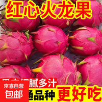 云南红心火龙果 当季新鲜水果 带箱5斤净重4.5斤单果200g+