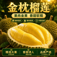 物旺载莒泰国金枕榴莲【多地次日达】新鲜巴掌榴莲带壳鲜果当季水果盲盒 【尝鲜】净重2.5-3.5斤精品老树果【3-4房】 精选好果 |干包黄肉