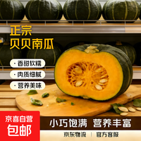 【东东买菜】25年高山贝贝南瓜香甜粉糯宝宝果新鲜蔬菜 贝贝南瓜宝宝果（单果100g起） 5斤