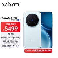 vivo X300 Pro  16GB+512GB 自在蓝 【地方补贴专享版】蔡司2亿APO超级长焦 蓝图影像双芯 AI手机