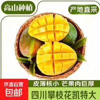 四川凯特芒水果芒果 净重4,5-5斤 单果300g+
