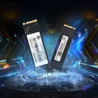 联想(Lenovo)拯救者原装 1TB SSD固态硬盘 QLC 联芸定制 M.2接口(NVMe协议) L650系列 PCIe4.0