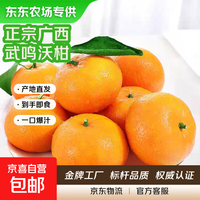 【东东农场专供】正宗广西武鸣沃柑 新鲜水果 带箱2斤装 单果55mm+ 沃柑