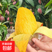 京喜加海南三亚贵妃芒新鲜水果 带箱250g
