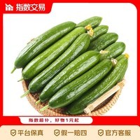 京喜加 寿光水果黄瓜无刺小黄瓜小青瓜生吃新鲜瘦身减脂蔬菜 黄瓜新鲜净重 5斤