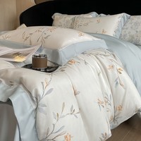 Erwin Rommel纯天然木60支进口莱赛尔四件套 天然植物木浆纤维床上套件 清雅-cy 床单款 1.5米床(被套200*230cm