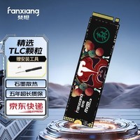梵想(FANXIANG)SSD固态硬盘 M.2接口(NVMe协议) S500系列 精选TLC颗粒 PC台式机笔记本电脑 存储配件 S500pro 精选TLC颗粒 512GB