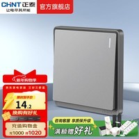 正泰（CHNT）开关插座面板带USB-type-C网线墙面5孔空调墙壁全屋套餐6M幻银灰 一开多控10A