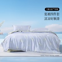 百丽丝出品夏被四件套兰精天丝纤维清凉床单被套枕套被子夏季 天丝夏被四件套 床单款 （夏被200*230cm）