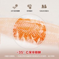 容声300L家用冰柜 一级能效减霜80% -35℃深冷冷藏冷冻两用冷柜 BD/BC-300E10HN LAD