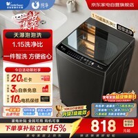 小天鹅波轮洗衣机全自动家用10公斤大容量 抗菌除螨 超净洗 强去污 一级能效 天瀑泡泡净TB10V27T