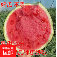 头茬麒麟美都西瓜现摘现发新鲜西瓜无籽瓜老人孕妇新鲜水果一整箱 5-7斤【新鲜现摘】