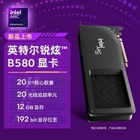 英特尔(Intel)锐炫 Arc 独立显卡 台式机电竞游戏专业设计显卡 Arc B580 12GB