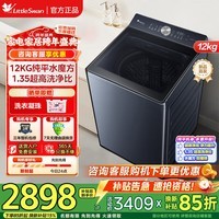 小天鹅（LittleSwan）10KG波轮洗衣机全自动 水魔方小乌梅超微净泡直驱变频 水魔方防缠绕 家电以旧换新 纯平|AI智投龙旋风水流U21 波轮 12kg