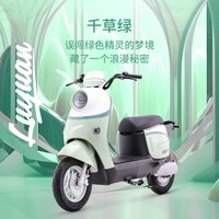 绿源【东莞/深圳专享】电动自行车ZOF新国标可上牌 成人上班通勤代步长续航男女电动车电瓶车 到门店选颜色-理论续航60KM
