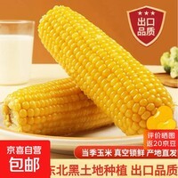 甜糯黄玉米  黏玉米 粘玉米玉米粗粮新玉米真空包装加热即食 黄糯玉米4棒（单棒180-220g）