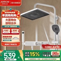 箭牌（ARROW）大顶喷旋钮置物花洒套装四功能淋浴花洒全套冷热增压淋浴花洒 月光白-四功能花洒34142ZWP