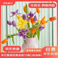 京东鲜花跨晚同款-郁金香鲜花10枝多巴胺混色（三种颜色混搭）源头直发
