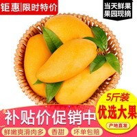 玖原农珍 源头直采青皮金煌芒果当季现摘优选甜心芒果 新鲜水果 含箱10斤净果9斤优选果