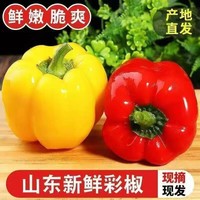 彩椒五彩甜椒水果彩椒圆椒不辣太空椒新鲜可即食减脂代餐蔬菜 山东彩椒红+黄带箱2斤