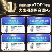 黑白调P3人体工学椅电脑椅办公人工力学座椅学习电竞椅子可躺国家补贴