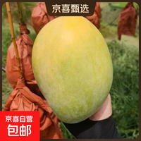 四川攀枝花凯特芒 青黄皮 新鲜正宗当季水果青现摘产地京东包邮 【带箱小果2斤】单果200g+|净重1.6斤