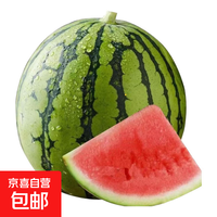 麒麟西瓜之乡郭庙西瓜美都8424新鲜麒麟瓜头茬无籽西瓜孕妇水果 4-6斤【新鲜现摘】