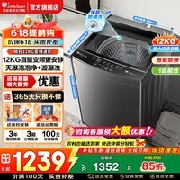 小天鹅（LittleSwan）波轮洗衣机全自动家用 一级能效 8/10/12公斤 直驱变频 小型送老人宿舍租房神器 以旧换新家电补贴 12KG爆款 | 直驱变频 | 大件轻松洗 波轮