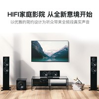 丹拿(DYNAUDIO) 新意境 New Emit 30 HiFi无源落地音响发烧音箱 木质 2.0 胡桃木
