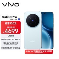 vivo X300 Pro  12GB+256GB 自在蓝 【地方补贴专享版】蔡司2亿APO超级长焦 蓝图影像双芯 AI手机