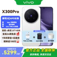 vivo X300 Pro 新品5G手机 国补专享 蔡司2 亿 APO 超级长焦AI 影像旗舰 12+256G  简单白 官方标配 全网通