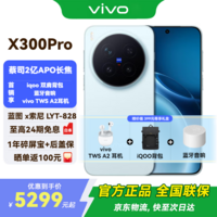 vivo X300 Pro 新品5G手机 国补专享 蔡司2 亿 APO 超级长焦AI 影像旗舰 12+256G  自在蓝 官方标配 全网通
