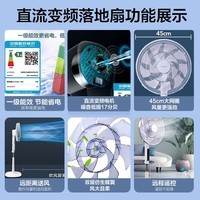 格力(GREE)电风扇落地扇一级能效直流变频节能电风扇智能遥控双层仿生蝴蝶扇14扇叶家用风扇FDZ-40X96Bdg9 14页仿生蝴蝶扇