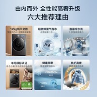 小天鹅（LittleSwan）12公斤滚筒洗衣机全自动家用 纯平全嵌 小乌梅3.0高奢版 VE40PRO 除菌变频1.21洗净比一级能效 滚筒洗烘 12KG小乌梅3.0高奢版VE40PRO
