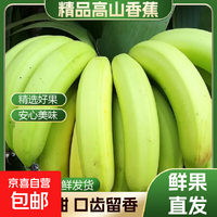 高山香蕉广西产地直发薄皮青果软糯香甜自然熟当季新鲜采摘纯天然 高山香蕉250克(2-3根)