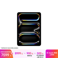 Apple/苹果【教育优惠】iPad Pro11英寸 M5芯片 2025年新款平板电脑 256G WLAN版 银色