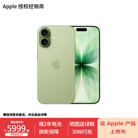 Apple/ 苹果 iPhone 17（A3521） 支持移动联通电信5G 双卡双待手机  鼠尾草绿色 256GB 官方标配【需现场签收激活】